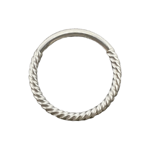 Surgical Steel Infinity Hoop w/ Twisted Hinge