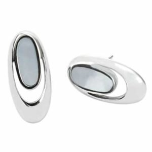 Gorgeous Stainless Steel Earrings with Shell Center