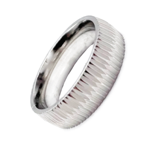 Stainless Steel Ring