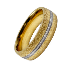 Stainless Steel Ring