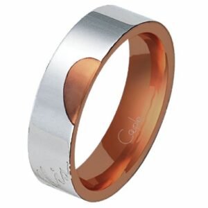 Men's Stainless Steel with Coffee Colored PVD Ring