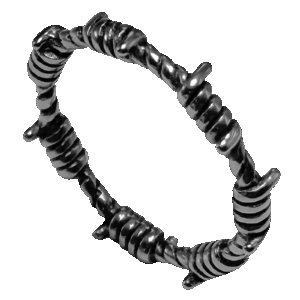 Stainless Steel Barb Wire Ring