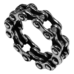 Stainless Steel Bike Chain Ring