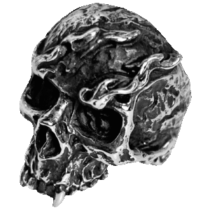 Stainless Steel Flame Skull Ring