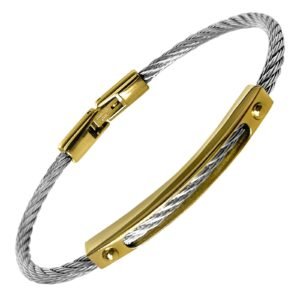 Stainless Steel Twisted Rope Wire Bracelet w/ Gold Accents