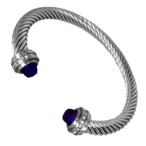 Stainless Steel Twisted Bangle w/ Purple Crystal on Ends - Purple