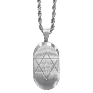 Stainless Steel & Matte Dog tag Necklace w/ cz Star of David Pendant