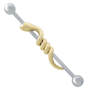 Surgical Steel Industrial Barbell with Snake Around