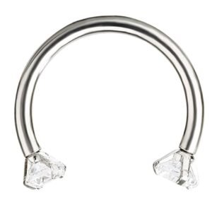 Surgical Steel 16GA Clear Double Jeweled Horseshoe Ring