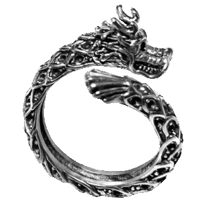 Stainless Steel Dragon Ring