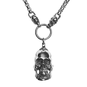 Stainless Steel Skull Pendant with Chain
