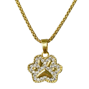 Stainless Steel Gold Chain with Gold pvd Paw Pendant