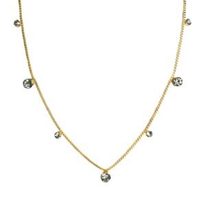 Gold Pvd Stainless Steel Necklace with CZ