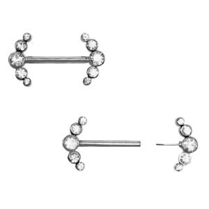 Surgical Steel Push in Nipple Bar