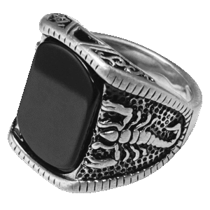 Stainless Steel Black Stone w/ Scorpions Ring