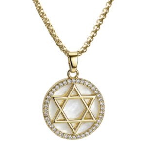 Stainless Steel Gold Pvd CZ & Opal Star of David Necklace